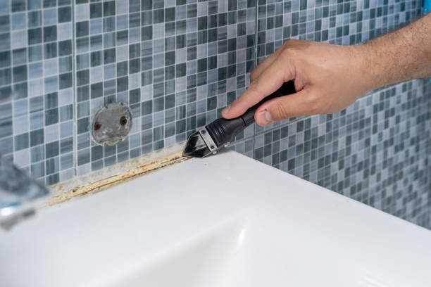 Best Commercial Mold Removal  in Willards, MD