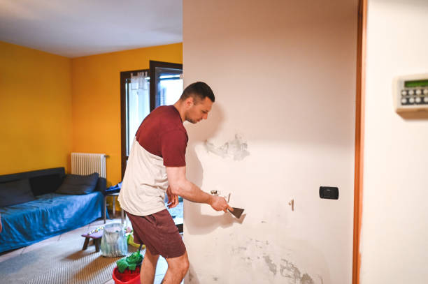 Best Water Damage Restoration  in Willards, MD